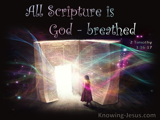 2 Timothy 3:16 All Scripture Is God:Breathed (pink)